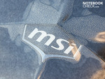 Cilalı MSI logosu