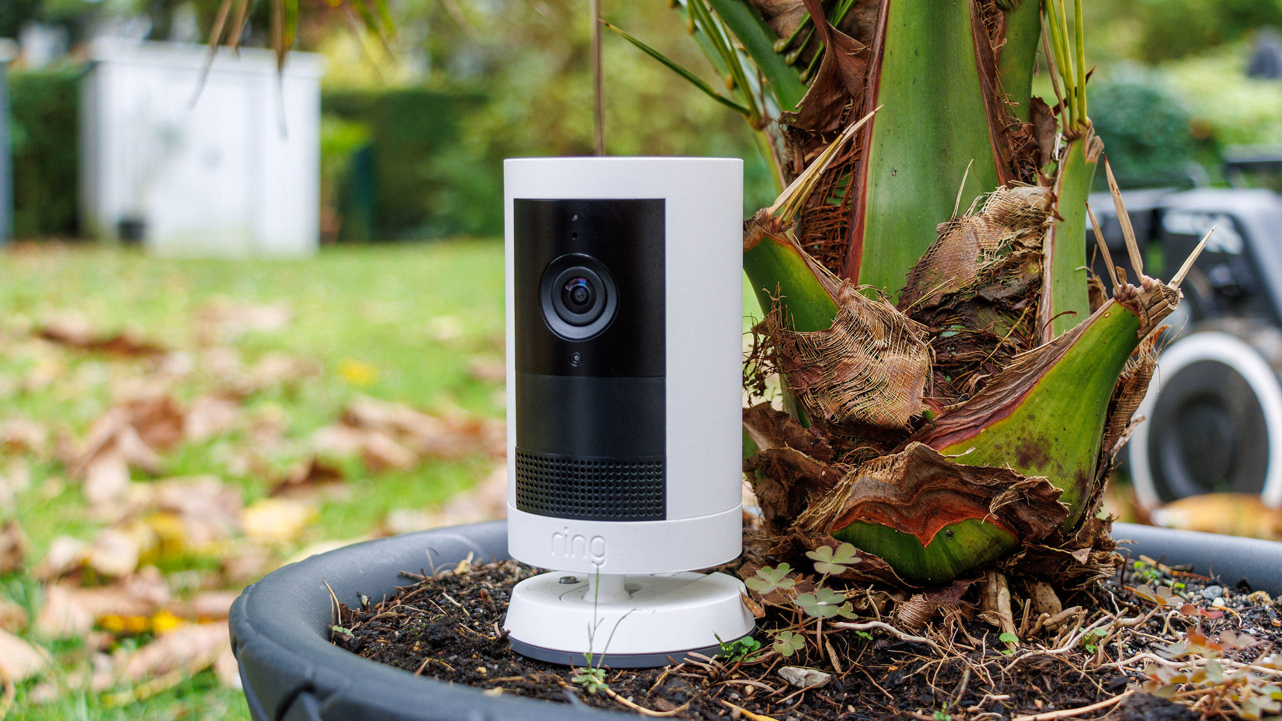 (Resim kaynağı: Daniel Schmidt)