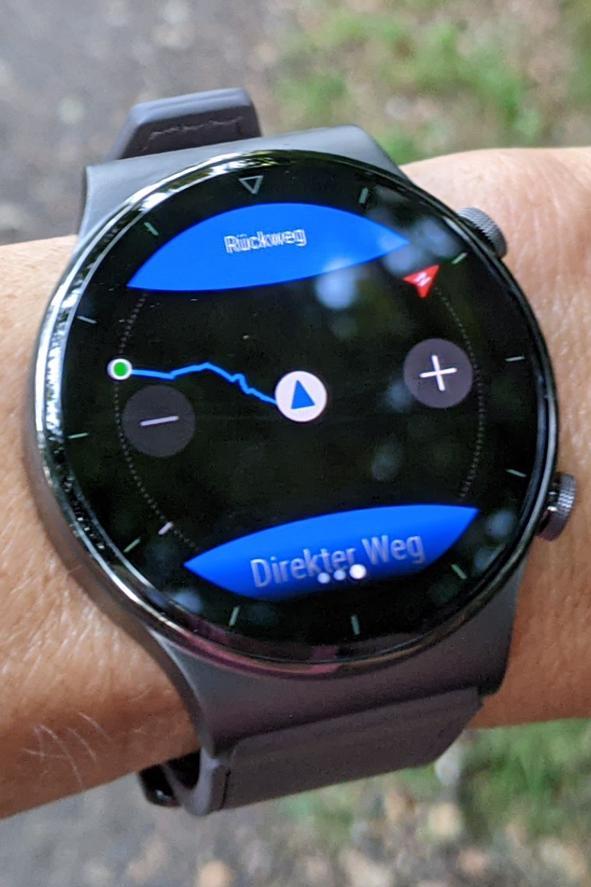 display huawei gt2