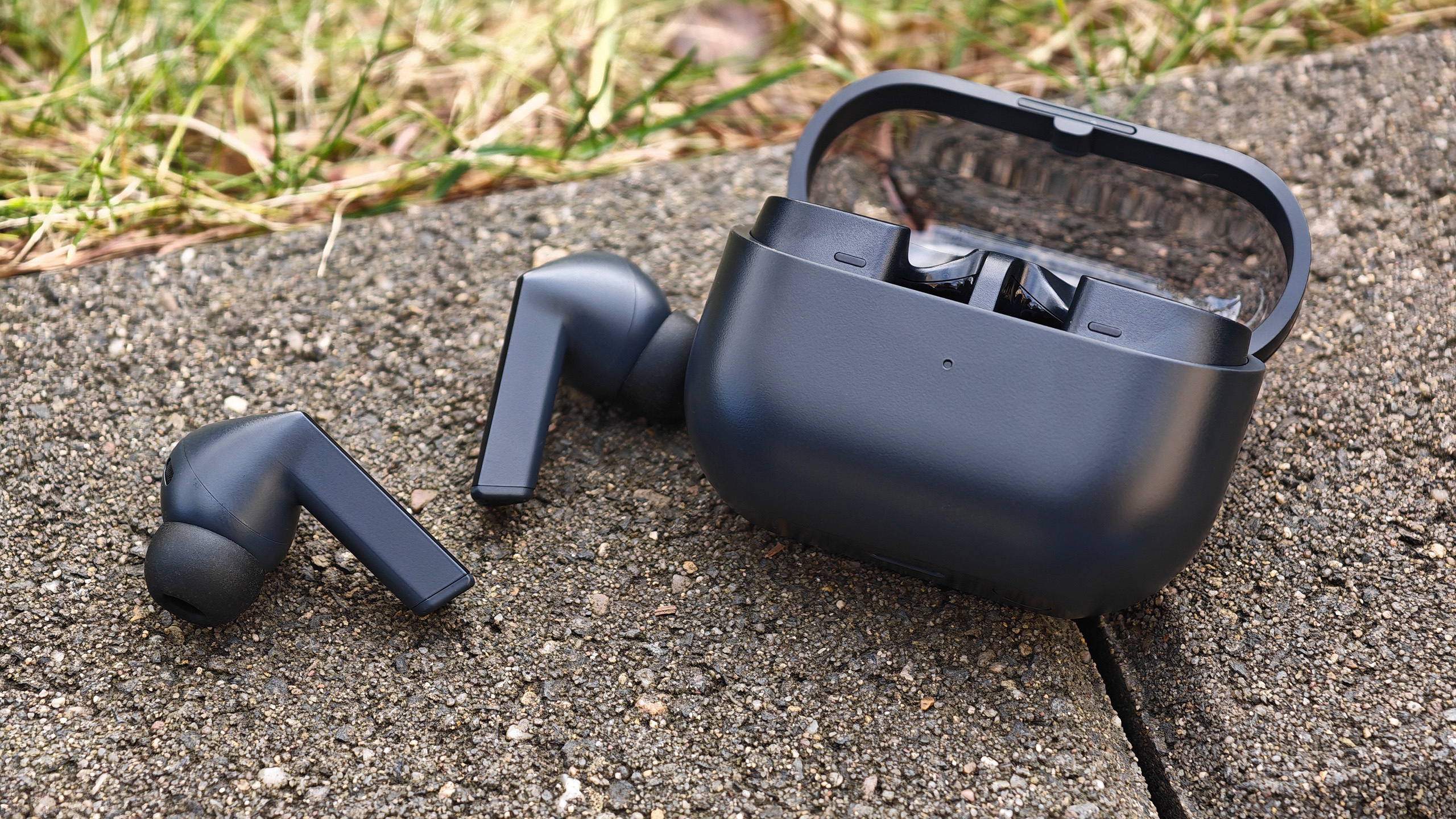 (Resim kaynağı: Daniel Schmidt)