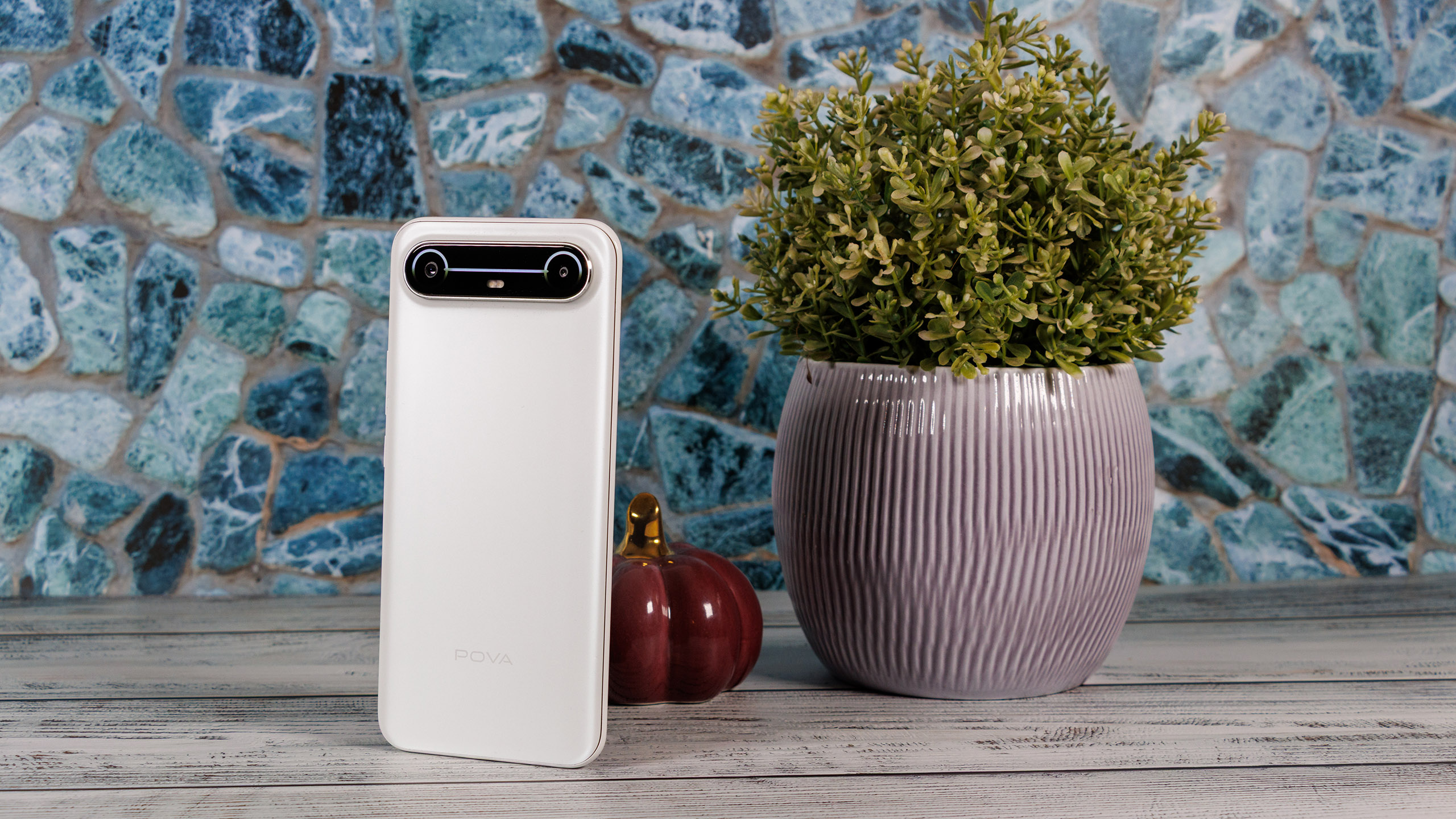 (Resim kaynağı: Daniel Schmidt)