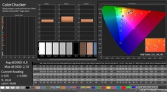 CalMAN: ColorChecker (calibrated)