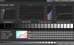 CalMAN gri skalaları