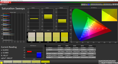 CalMAN Saturation Sweeps (target color space sRGB)