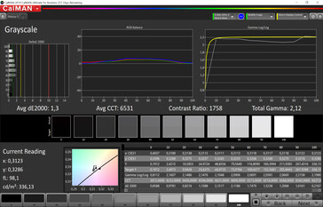 Grayscale (preset: Lively (modified), target color space: P3)