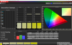 CalMAN Doygunluk Taramaları (P3)
