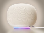 Google Home hoparlörü, "Porcelain" dahil olmak üzere dört farklı renkte satışa sunulmuştur.