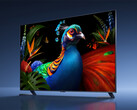 Supreme TV S Pro 2027 RGB Mini LED serisi dışındaki modellerin en büyük boyutu 98 inç olacaktır. Resimde: serideki bir televizyonu gösteren tanıtım fotoğrafı.