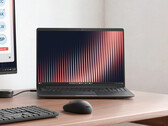 Dell'in Pro 3 Serisi 16 (P316265) dahili bir sayı tuş takımı içerir.