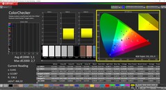 CalMAN ColorChecker kalibre edildi (hedef renk alanı: P3)