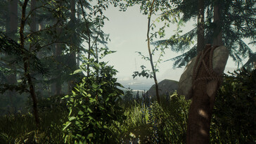 “The Forest” oyununda bir manzara ve bir tekneyi gösteren bir görsel.