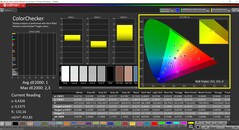 CalMAN ColorChecker (profil: P3, hedef renk uzayı: P3)
