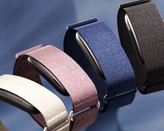 Garmin CIRQA dört farklı renkte mevcuttur.