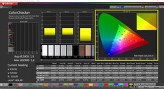CalMAN ColorChecker (profil: sRGB, hedef renk uzayı: sRGB)
