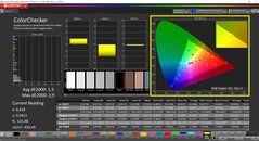 CalMAN ColorChecker (profil: sRGB, hedef renk uzayı: sRGB)