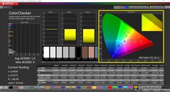 CalMAN ColorChecker (profil: Native, hedef renk uzayı: P3)