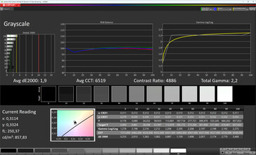 Gri ölçekler (Gerçek Ton: kapalı, hedef renk uzayı: sRGB)