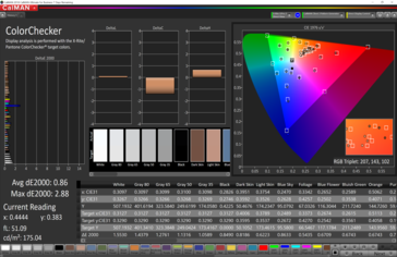 CalMAN: Colorchecker - calibrated (P3 target colour space)