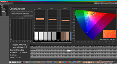 Kalibrasyondan sonra ColorChecker