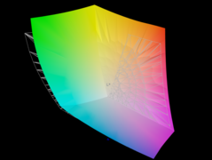 Panel, AdobeRGB renk alanının yüzde 95,5'ini kapsar