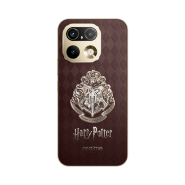 Hogwarts’ın dört evinin armaları, güneş ışığı altında evlerinin renklerini ortaya çıkarır.
