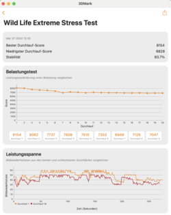 3DMark Wildlife stres testi