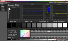 Grayscale before calibration