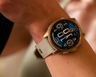Garmin Fenix 8 AMOLED akıllı saat kullanıcıları (resimde) bir parlaklık sorunu olduğunu belirttiler. (Resim kaynağı: Garmin)