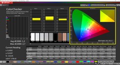 CalMAN ColorChecker (profil: AdobeRGB, hedef renk uzayı: AdobeRGB)