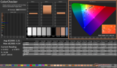 Kalibrasyondan sonra ColorChecker