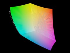 Renk alanı: Adobe RGB - %94,79 kapsamı