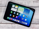 Apple iPad mini'nin, bu sonbaharda bile OLED ekranlı bir halefi piyasaya çıkması bekleniyor.