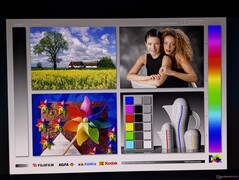 Geniş OLED görüntüleme açıları