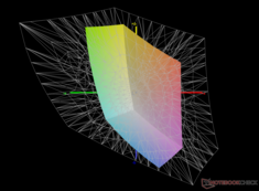 vs. Adobe RGB: %40,7 kapsama alanı