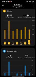 Xiaomi Smart Band 10 Aktivite