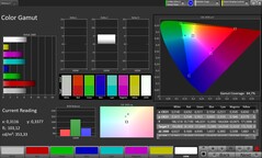 CalMAN Renk Gamı sRGB