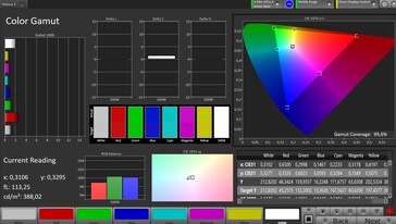CalMAN sRGB renk uzayı