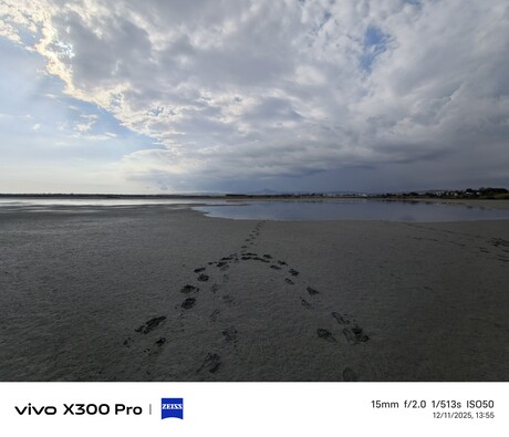 Vivo X300 Pro: Fotoğraf örneği