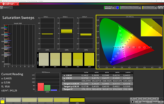 CalMAN doygunluğu (profil: varsayılan)