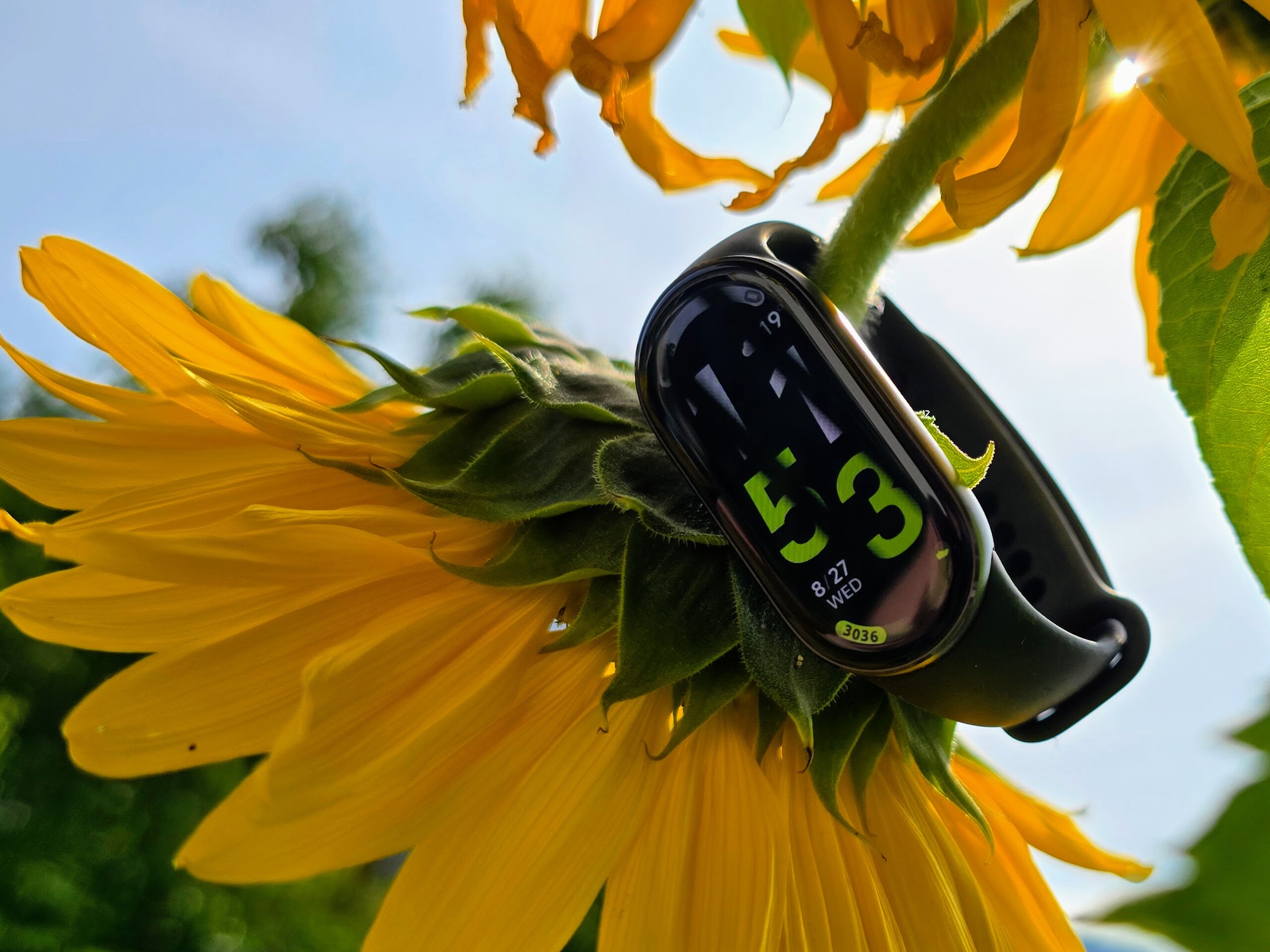 Testte: Xiaomi Smart Band 10