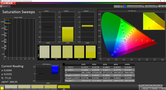 CalMAN Saturation Sweeps calibrated (target color space P3)