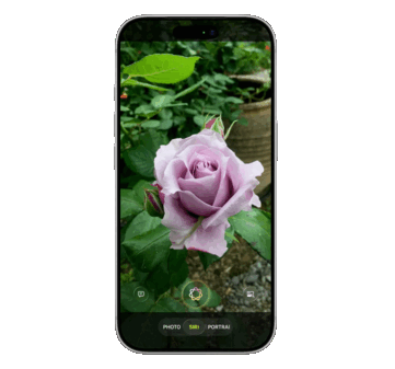 Sızıntıya göre, Siri ilk kez Kamera uygulamasına entegre edilecek ve Google ve ChatGPT gibi dış yapay zeka hizmetleri aracılığıyla nesneleri tanımlamak için görsel zeka entegre edilecek.