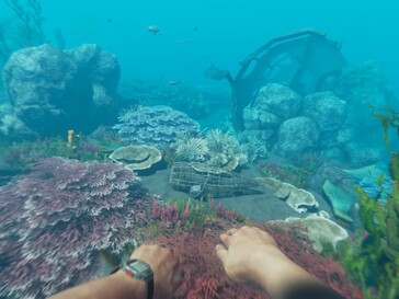 Oyuncular Stranded Deep'te su altı dünyasını da keşfedebilirler.