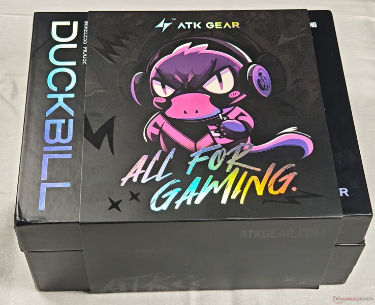 Kılıflı dış ambalaj