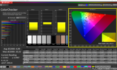 Kalibrasyondan sonra Calman ColorChecker