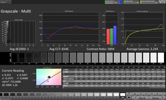CalMAN gri skalaları