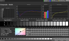 CalMAN gri skalaları