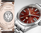 "The Citizen" AQ4100-65X ve AQ4106-00B