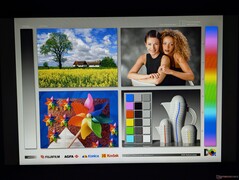 Geniş IPS görüntüleme açıları