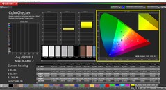 CalMAN ColorChecker (profil: P3, hedef renk uzayı: P3)